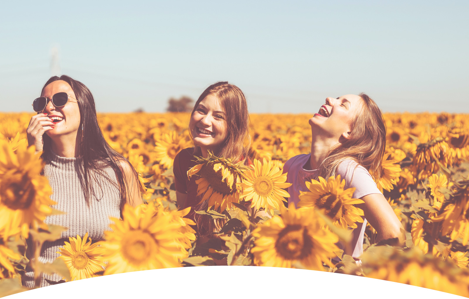 como trabajamos apsicologia